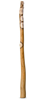 Heartland Didgeridoo (HD264)
